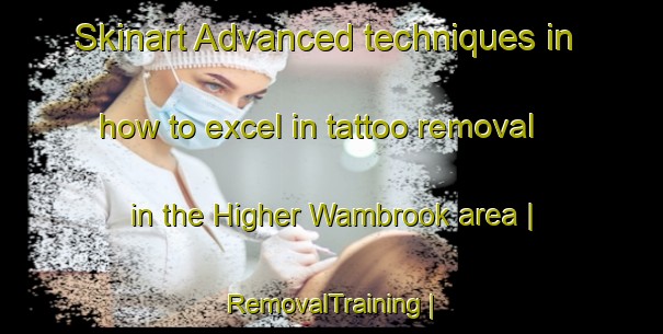 Skinart Advanced techniques in how to excel in tattoo removal in the Higher Wambrook area | RemovalTraining | RemovalClasses | SkinartTraining-United Kingdom